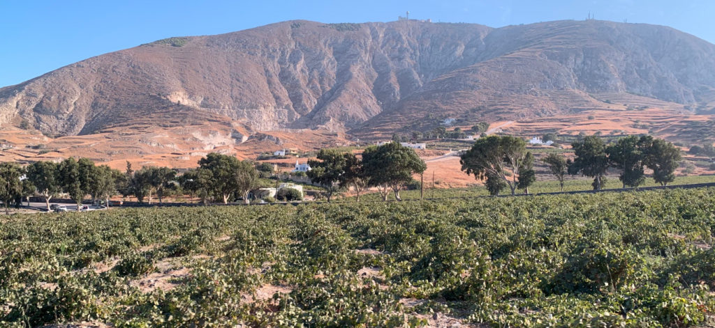 a-taste-of-greece:-discovering-santorini’s-volcanic-vineyards