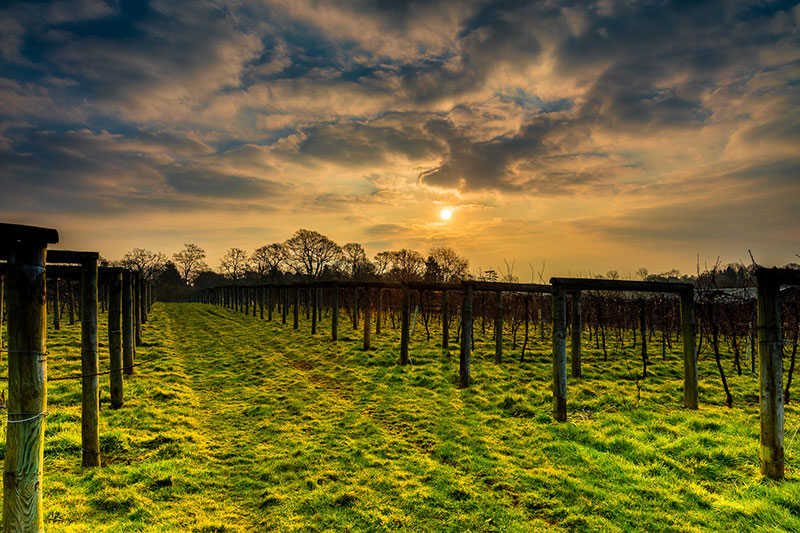 sand,-sea-and-wine-in-sussex-modern