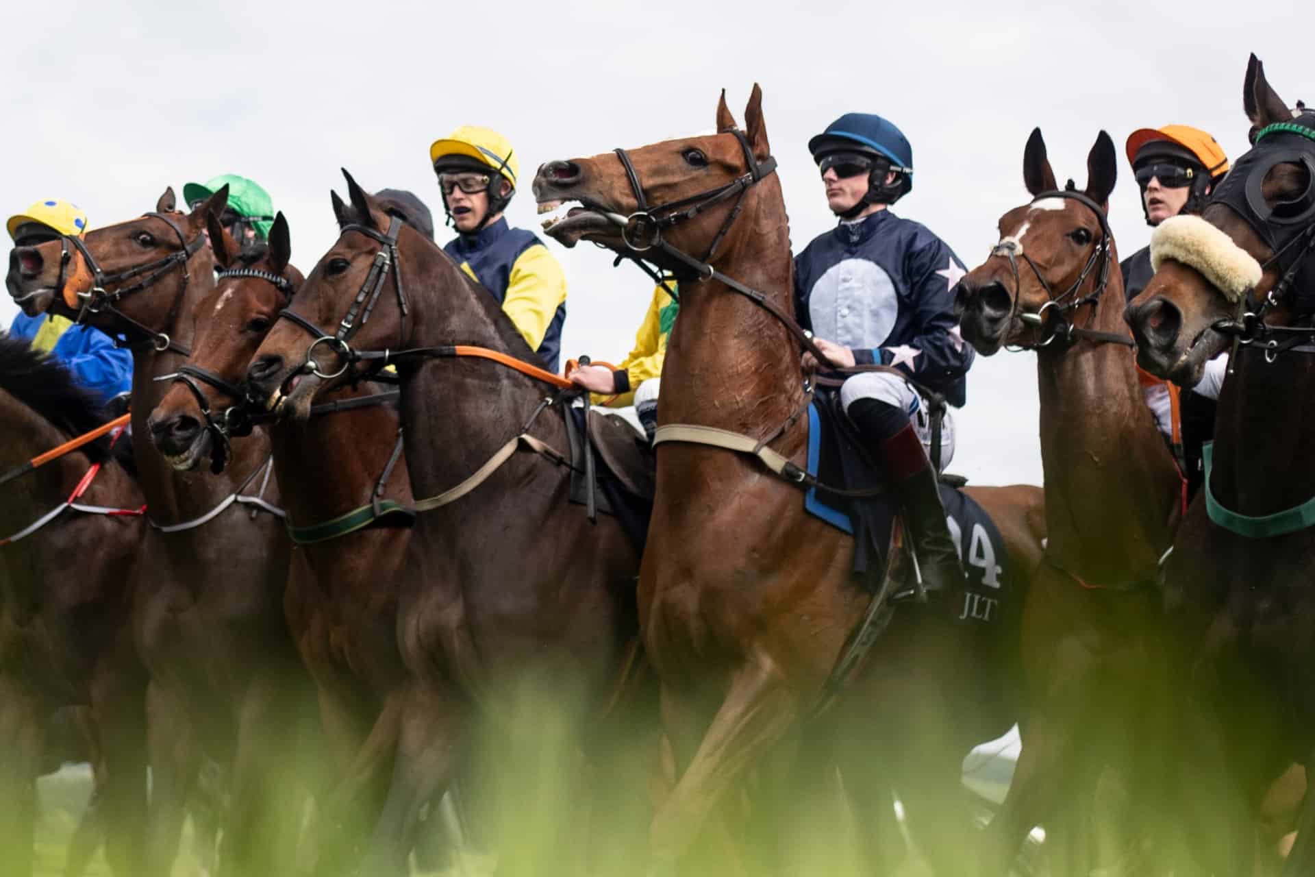 advent-calendar:-win-a-trip-for-two-to-the-2023-punchestown-festival