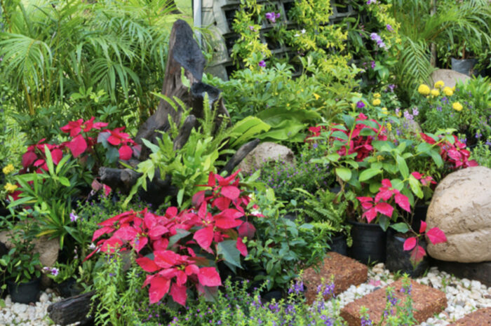 how-to-enforce-an-eco-friendly-garden-this-year
